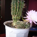 ���� ��������, ������, 67 ��� - ��������� 16 ������� 2014 � ������ ������ ��������