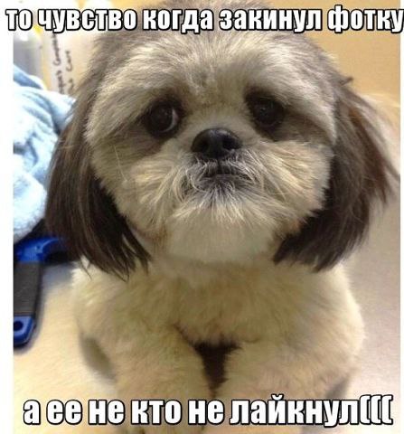       https://fotostrana.ru/away?to=/sl/4Lc2