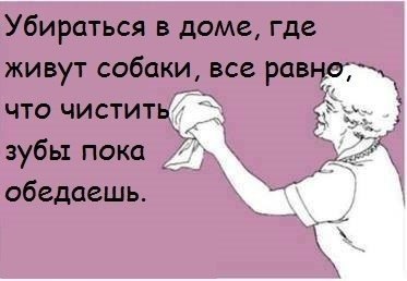 .•°Dogs Forever°•. - 3 августа 2014 в 23:35