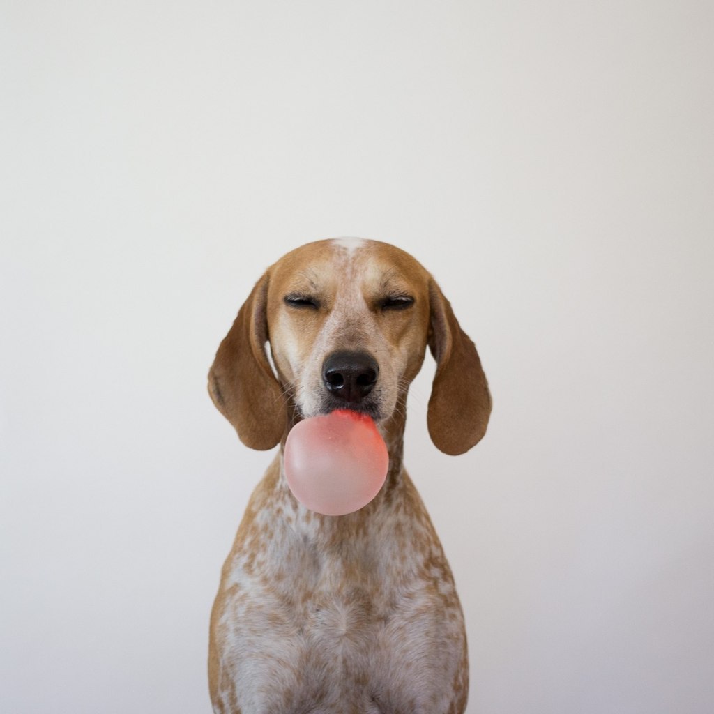 15 -  ,  : 1.    :  ...