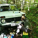 ����-��� �� ������� ���� ����������