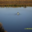 ���� ������, ����������, 66 ��� - ��������� 18 ������� 2014 � ������ ������ ��������