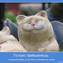 ���� ����, ����������������, 55 ��� - ��������� 9 ���� 2014 � ������ ������ ��������
