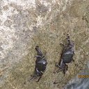  , , 69  -  24  2014   , , 