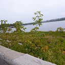 ���� �����, ������� - ��������� 17 ������� 2014 � ������ �14.08.2014�.�