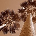 ���� ����, ������� - ��������� 12 ���� 2014 � ������ ���� ��������