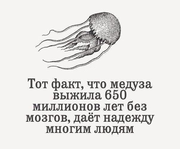  | ,  - 30  2014  11:04