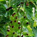 1.06.2014 �� ������� �����ܻ