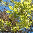 ���� Natali, ������ - ��������� 23 ������� 2014 � ������ ����� ������ � �������!!!!�