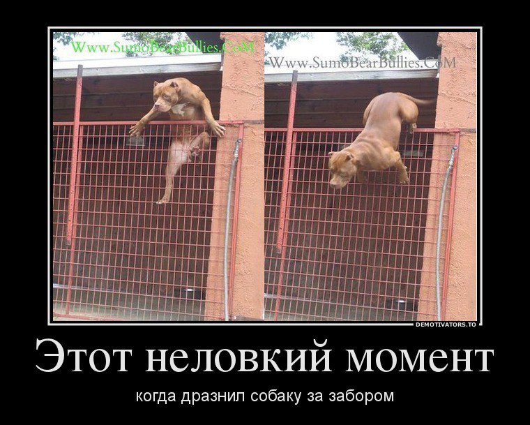  ( ) - 2  2014  13:09