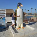 ���� �������, ������, 60 ��� - ��������� 31 ���� 2014 � ������ ���� ����������