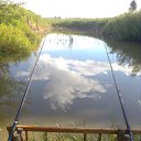 ����� � �������� �� ������� ���� ���� ������