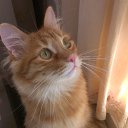 ���� �����, �����������, 38 ��� - ��������� 24 ���� 2014 � ������ ������ ��������