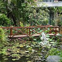 ������� � �������� � ������� �� ������� ���� ����������