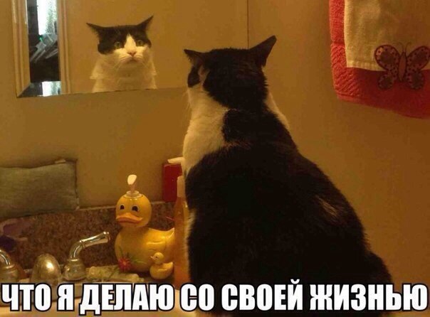  9?))))