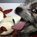 ������. ����� ������ � �������� �� ��� ����������.�� ������� �����,�� �� ��� � � ���� ��������� �����)) �� ������� ���� ����������