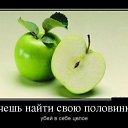 ���� �����, ��������� - ��������� 9 ���� 2014 � ������ ������ ��������