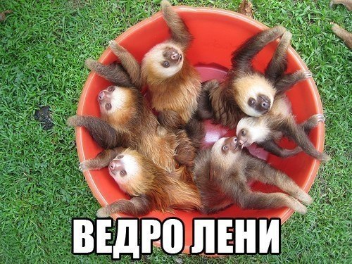    :-) - 9  2014  21:26