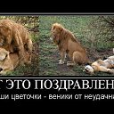 ���� �����, ������, 49 ��� - ��������� 5 ���� 2014 � ������ ������ ��������