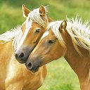 ���� ������, ����������� - ��������� 7 ������� 2014 � ������ ��������