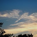 �������� ���� ����. 2014 �. �� ������� ������������ �������Ȼ