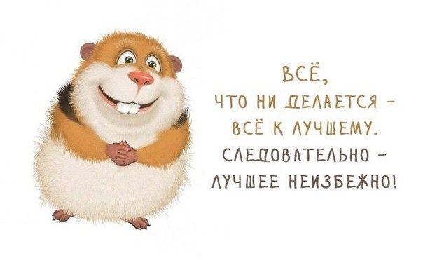    - 22  2014  04:05