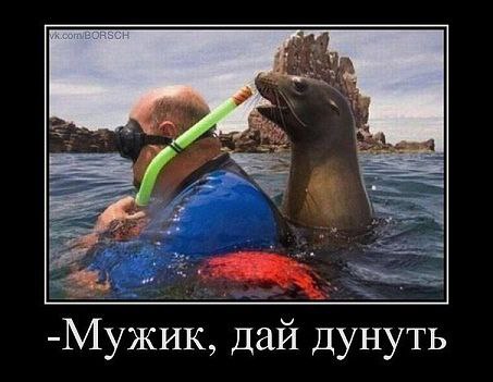 Подписывайтесь на нашу страницу fotostrana.ru/public/232473 Только позитив )