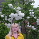 ���� ������, ������������, 64 ���� - ��������� 7 ���� 2014 � ������ ���� ����������