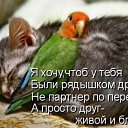 ���� �������, ���������, 57 ��� - ��������� 4 ���� 2014 � ������ ���� ����������