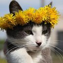  -=@=-  , , 53  -  19  2014    