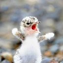 ���� ������, �����������, 30 ��� - ��������� 1 ������� 2014 � ������ ���� ����������