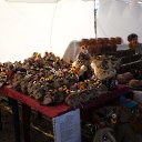 ��� 2914� ����� -�������� ���� ������-�������� ���������� �� ������� ������ ��������