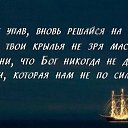 ���� �������, ������������ - ��������� 21 ���� 2014 � ������ ������ ��������