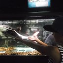 ���� ����, ��������� - ��������� 10 ������� 2014 � ������ ���� ����������