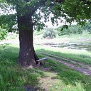 ���� �����, �������, 61 ��� - ��������� 25 ��� 2014 � ������ ������ ��������