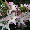 ���� 2014.�����.