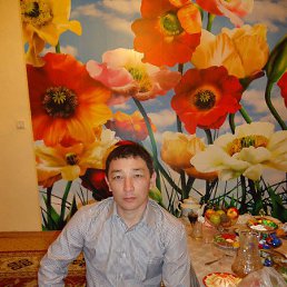 ������, �������, 48 ���