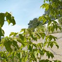 ���� �����, ������� - ��������� 18 ������� 2014 � ������ �17.08.2014�.�