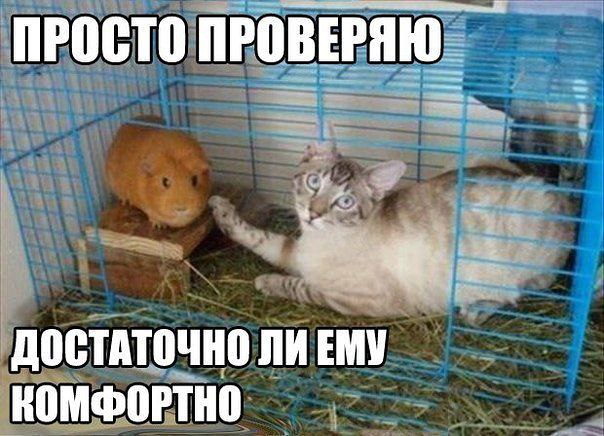 �������������� �� ���� �������� <a href=