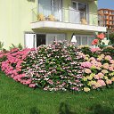 ���� Svetlozar, �����, 46 ��� - ��������� 14 ���� 2014 � ������ �1�