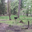 ���� ���������, ������, 38 ��� - ��������� 26 ��� 2014 � ������ ������������ ����