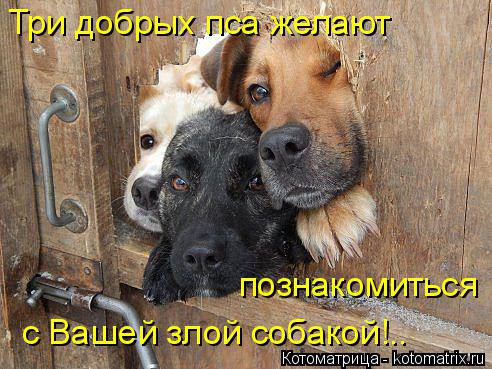 Ундина - 21 мая 2014 в 12:54