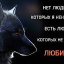 ���� Wik, ������, 62 ���� - ��������� 19 ���� 2014 � ������ ������ ��������