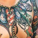 ���� ��������, ��������, 52 ���� - ��������� 17 ���� 2014 � ������ ���� ����������