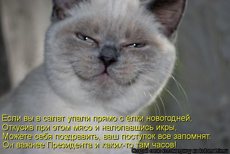 Alex Linadherent - 16  2014  13:54