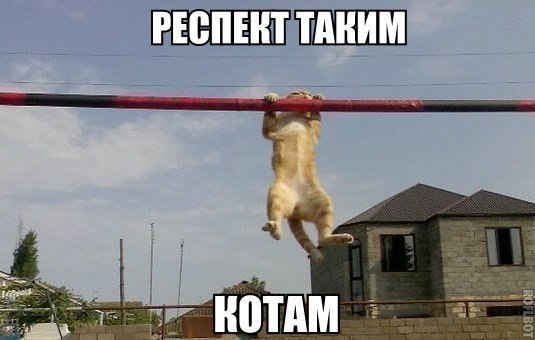    :D - 15  2014  02:04