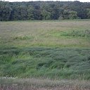 ���� ����, ��������, 52 ���� - ��������� 20 ������ 2014 � ������ �� ������ ���������