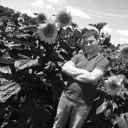 �����, ������, 38 ���