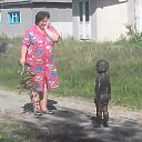  , , 71  -  2  2014      ...