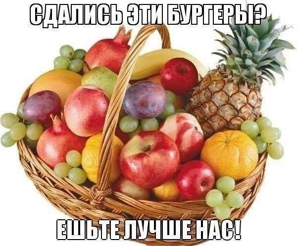    |   - 8  2014  09:01